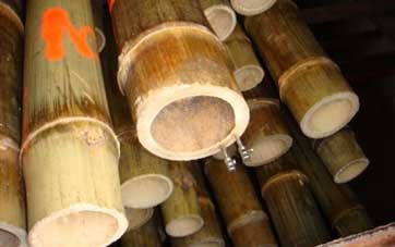 bambu-almacenamiento